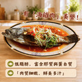 台灣活凍石斑魚(530g/尾) -任選_2 台灣活凍石斑魚(530g/尾) -任選_2