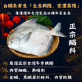 野生白鯧魚(500g/尾)-任選_1 野生白鯧魚(500g/尾)-任選_1