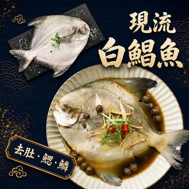 野生白鯧魚 500g X 2尾組