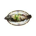 特大石斑魚 530gX3尾組_4 特大石斑魚 530gX3尾組_4