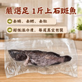 特大石斑魚 530gX3尾組_1 特大石斑魚 530gX3尾組_1
