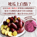 特A級-紫皮栗香地瓜(1kg/包)-任選_4 特A級-紫皮栗香地瓜(1kg/包)-任選_4