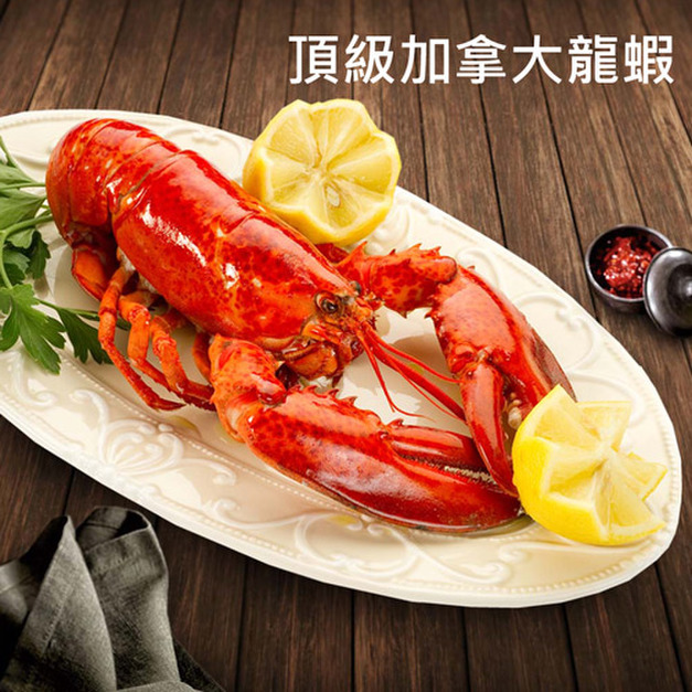 超高壓(生凍)波士頓龍蝦450g~650G –任選
