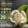 65年花蓮鶴岡文旦20斤(小顆/大顆) 65年花蓮鶴岡文旦20斤(小顆/大顆)