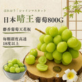 日本晴王葡萄800gX1房 |6房尺寸/禮盒 日本晴王葡萄800gX1房 |6房尺寸/禮盒