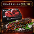 高壓波士頓龍蝦650gX2隻_2 高壓波士頓龍蝦650gX2隻_2