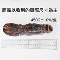 超高壓(生凍)波士頓龍蝦 X 2尾~3尾 (450~500g/尾)_1 超高壓(生凍)波士頓龍蝦 X 2尾~3尾 (450~500g/尾)_1