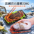 法國岩石龍蝦 2~4尾(320G/尾)-含運 法國岩石龍蝦 2~4尾(320G/尾)-含運