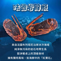 法國岩石龍蝦 2~4尾(320G/尾)-含運_1 法國岩石龍蝦 2~4尾(320G/尾)-含運_1