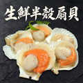 半殼扇貝 1~5包組(300g/包)_任選 半殼扇貝 1~5包組(300g/包)_任選