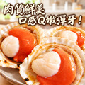 半殼扇貝 1~5包組(300g/包)_任選_2 半殼扇貝 1~5包組(300g/包)_任選_2