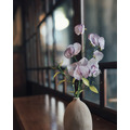 香碗豆花|Dip Art 水晶花_2 香碗豆花|Dip Art 水晶花_2