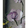 香碗豆花|Dip Art 水晶花_1 香碗豆花|Dip Art 水晶花_1
