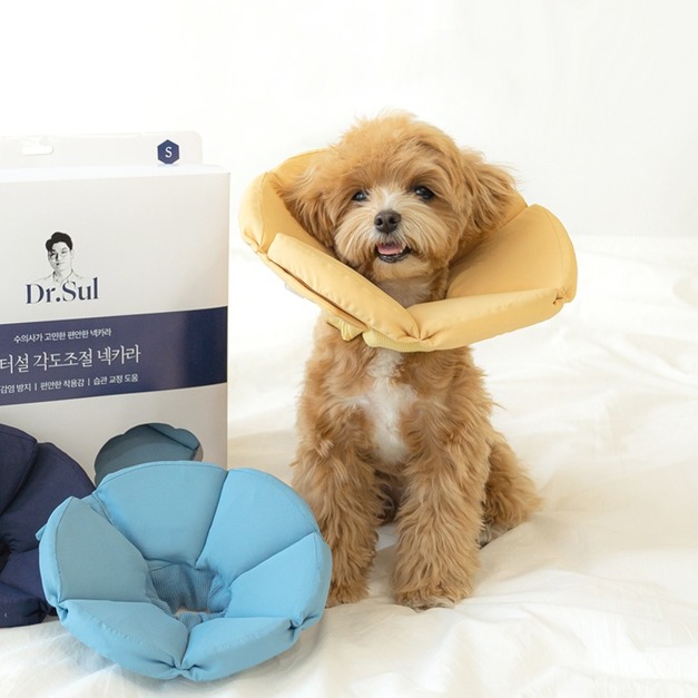 Dr.Sul 多角度防舔咬頸圈