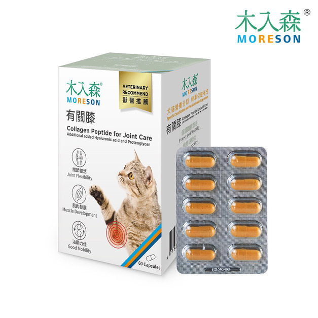 【木入森】貓咪有關膝60顆