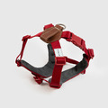 【SPUTNIK】 Explore 胸背帶 M_7 【SPUTNIK】 Explore 胸背帶 M_7