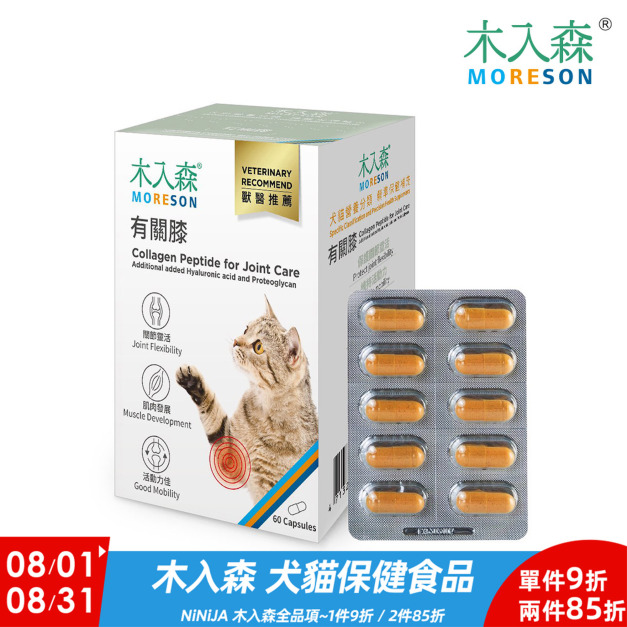 【木入森】貓咪有關膝60顆 【木入森】貓咪有關膝60顆