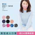 【SK四季口罩】成人迷彩口罩(2片/包)_2 【SK四季口罩】成人迷彩口罩(2片/包)_2