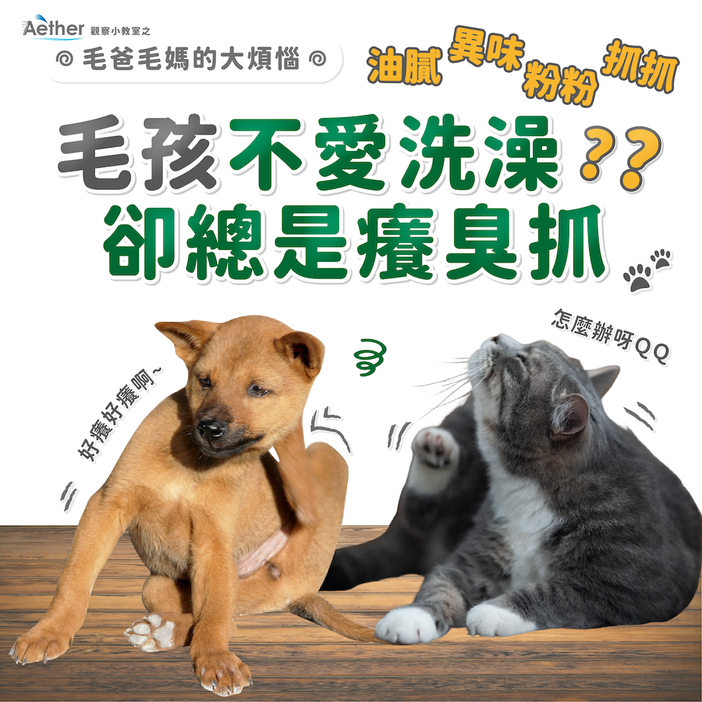 乾洗澡噴霧其他特色