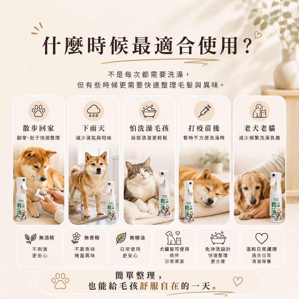 毛孩外出回家