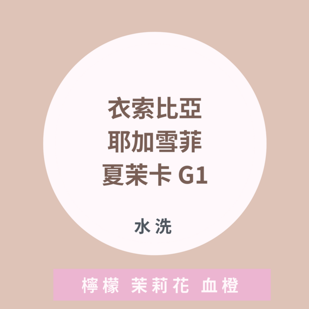 衣索比亞 耶加雪菲 夏茉卡 水洗處理法 G1 衣索比亞 耶加雪菲 夏茉卡 水洗處理法 G1