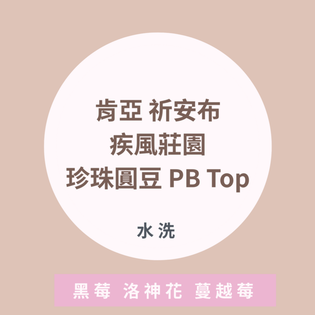 |濾掛|肯亞 祈安布 疾風莊園 珍珠圓豆 PB Top |濾掛|肯亞 祈安布 疾風莊園 珍珠圓豆 PB Top