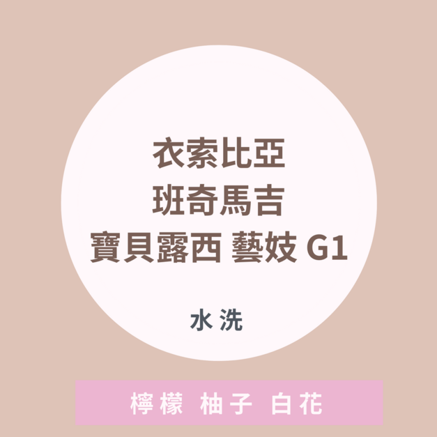 衣索比亞 班奇馬吉 寶貝露西 藝妓 水洗處理法 G1 衣索比亞 班奇馬吉 寶貝露西 藝妓 水洗處理法 G1