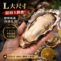 大降價!52折!日本原裝進口岩手生蠔【100/150丨10台斤/箱】×僅供宅配×_7 大降價!52折!日本原裝進口岩手生蠔【100/150丨10台斤/箱】×僅供宅配×_7