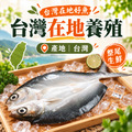 雙11家庭魚箱・四人家庭・兩餐組【總重2.14Kg土5%】_5 雙11家庭魚箱・四人家庭・兩餐組【總重2.14Kg土5%】_5