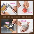 即將//【HIROSHO】多機能料理用剪刀_4 即將//【HIROSHO】多機能料理用剪刀_4