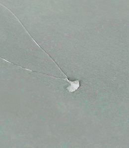 |純銀項鍊 925|彷彿 • 銀杏 毛衣鏈頸鏈鎖骨鏈戒指耳環 單只販售 |純銀項鍊 925|彷彿 • 銀杏 毛衣鏈頸鏈鎖骨鏈戒指耳環 單只販售