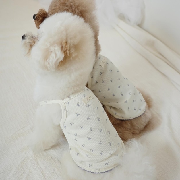 【預購】to you | 韓國製・藍莓小花居家服 (dog) *new!! 【預購】to you | 韓國製・藍莓小花居家服 (dog) *new!!
