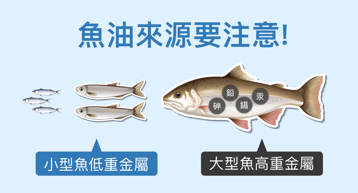 小型魚萃取的魚油能夠大幅降低海洋重金屬的危害可能
