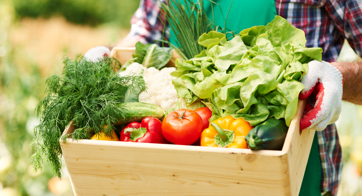 211餐盤建議2份蔬菜份量