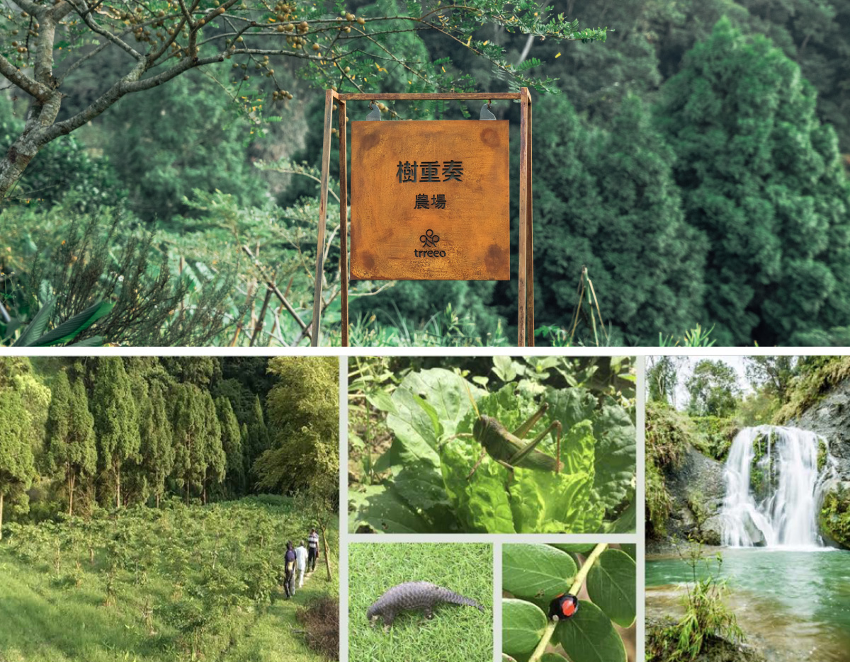 樹重奏農場