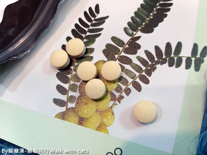 trreeo樹重奏油甘益生菌粉,幫助排便順暢