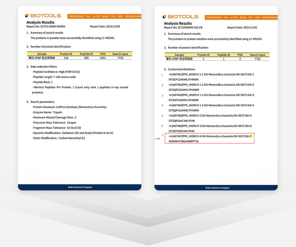 苦瓜萃取經實驗證實含功能性關鍵苦瓜胜肽,幫助促進新陳代謝