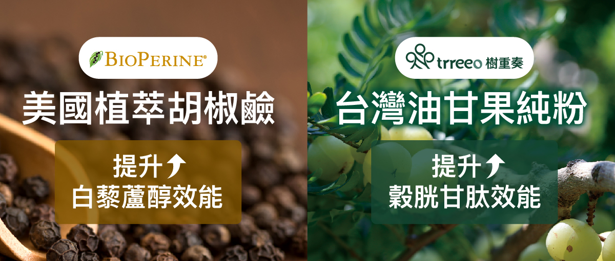 胡椒鹼、油甘介紹