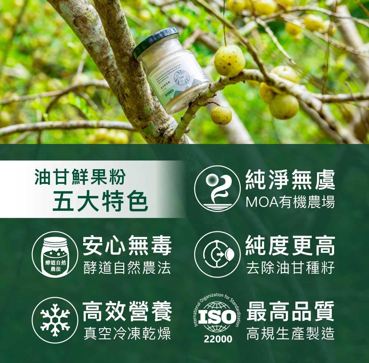 油甘鮮果5大特色