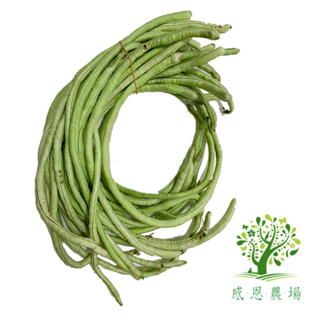 有機長豆 有機長豆