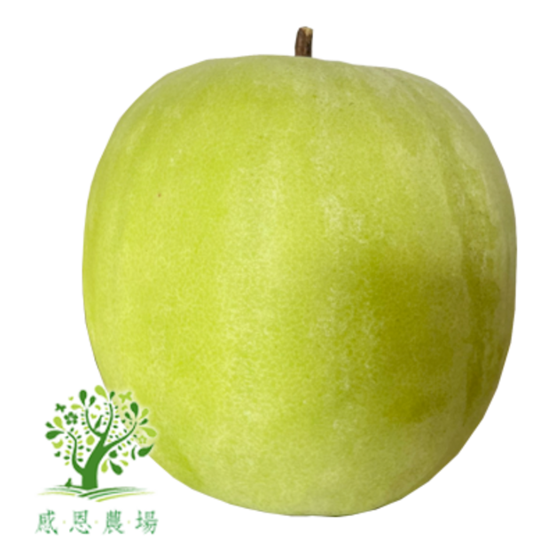 有機芋香冬瓜(單顆禮盒) 有機芋香冬瓜(單顆禮盒)