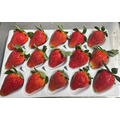 有機轉型期草莓15入*4盒/箱_1 有機轉型期草莓15入*4盒/箱_1