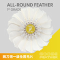AIRJNISE-40 國家比賽級 羽毛球 羽球 (12入)_1 AIRJNISE-40 國家比賽級 羽毛球 羽球 (12入)_1