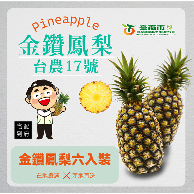 ▉準備中 ▉2026【金鑽鳳梨】精選禮盒6入裝 開賣!