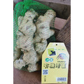 有機老薑Organic Ginger 有機老薑Organic Ginger