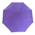 全場自動傘我最靓|多巴胺色系・大隻自動傘_13 全場自動傘我最靓|多巴胺色系・大隻自動傘_13