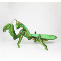 SA052 螳螂造型玩偶_3 SA052 螳螂造型玩偶_3