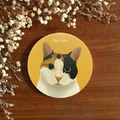 汪喵陶瓷吸水杯墊 - 三花貓 汪喵陶瓷吸水杯墊 - 三花貓