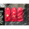 純手工絹印紅包袋 - 貓咪款 紅包袋 純手工絹印紅包袋 - 貓咪款 紅包袋