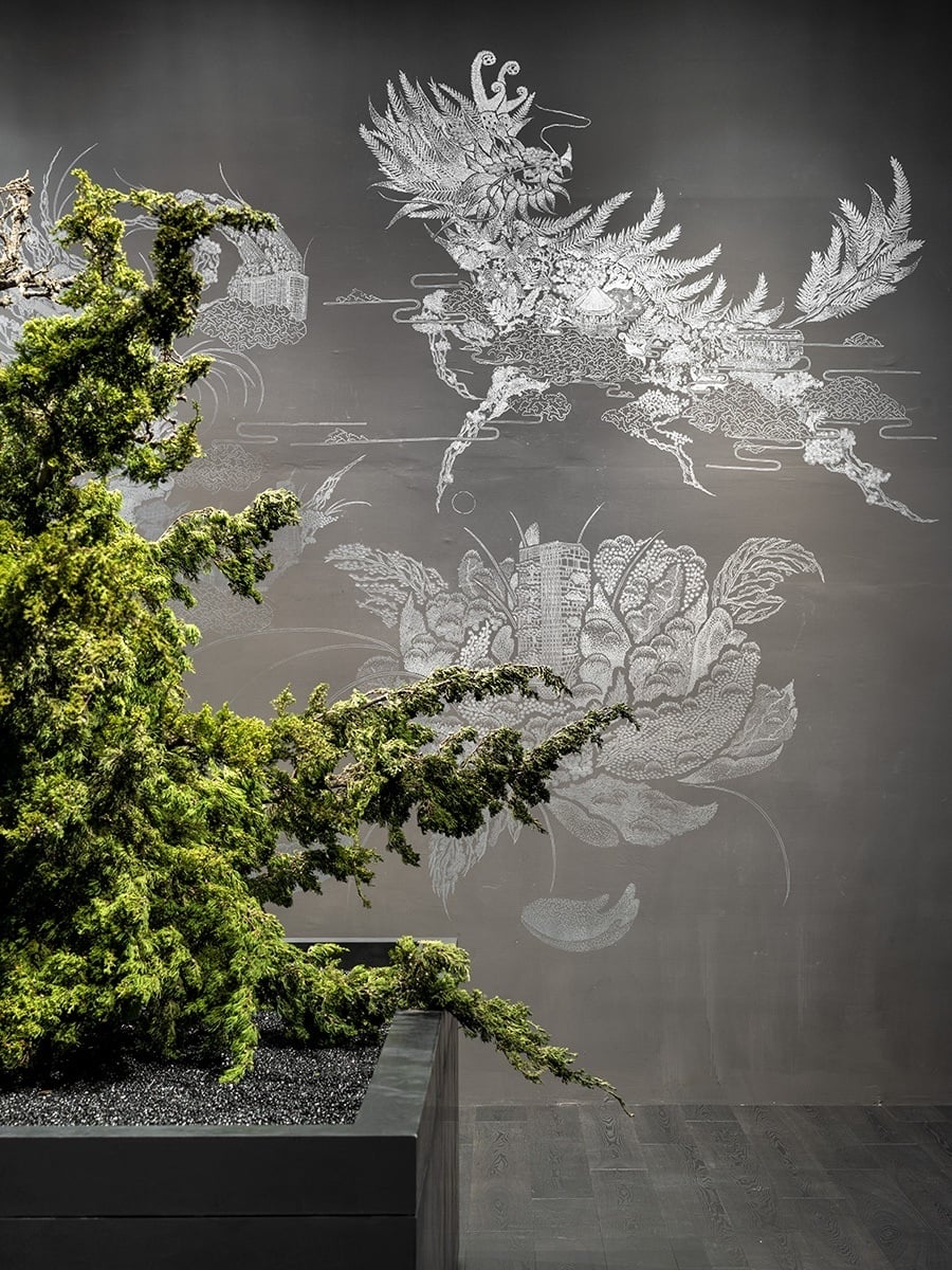 可能是樹的圖像